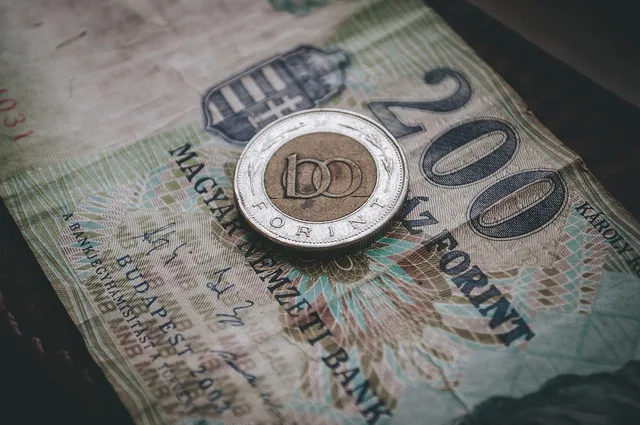 money, banknote, coin, forint, currency, cash, capital, saving, hungarian, business, forint, forint, forint, forint, forint. Cashflow voorspellen bij snelle groei: welke methode past?